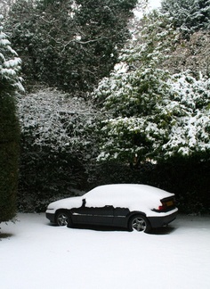 Snowy Corrado