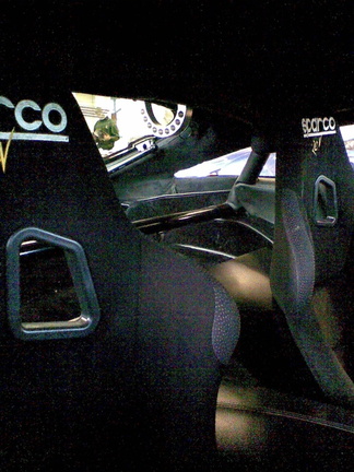 Sagaris seat belt bar